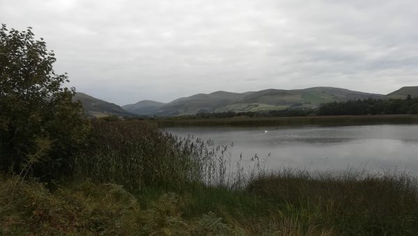 By the Afon Dysynni